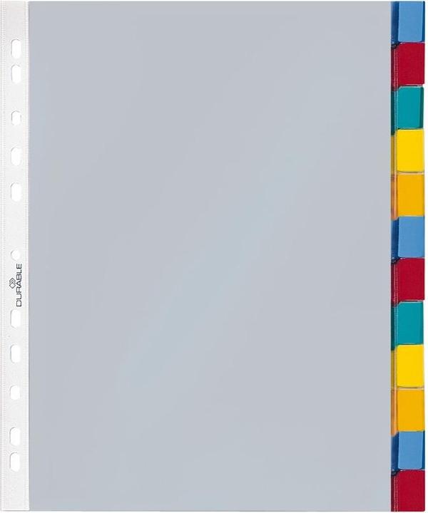 Produktbild Durable Register-Hüllen PP