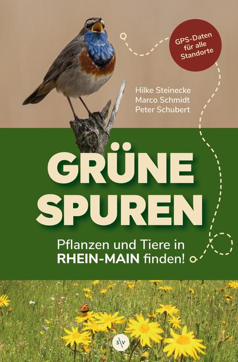 Grüne Spuren (Deutsch, Hilke Steinecke, Marco Schmidt, Peter Schubert, 2024)
