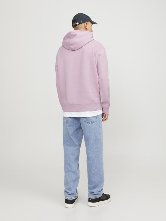 Actual product image Jack & Jones Hoodie (XS)