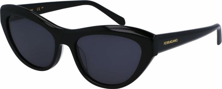Image du produit Salvatore Ferragamo Ladies' Sunglasses SF1103S-5517001 Ã˜ 55 mm