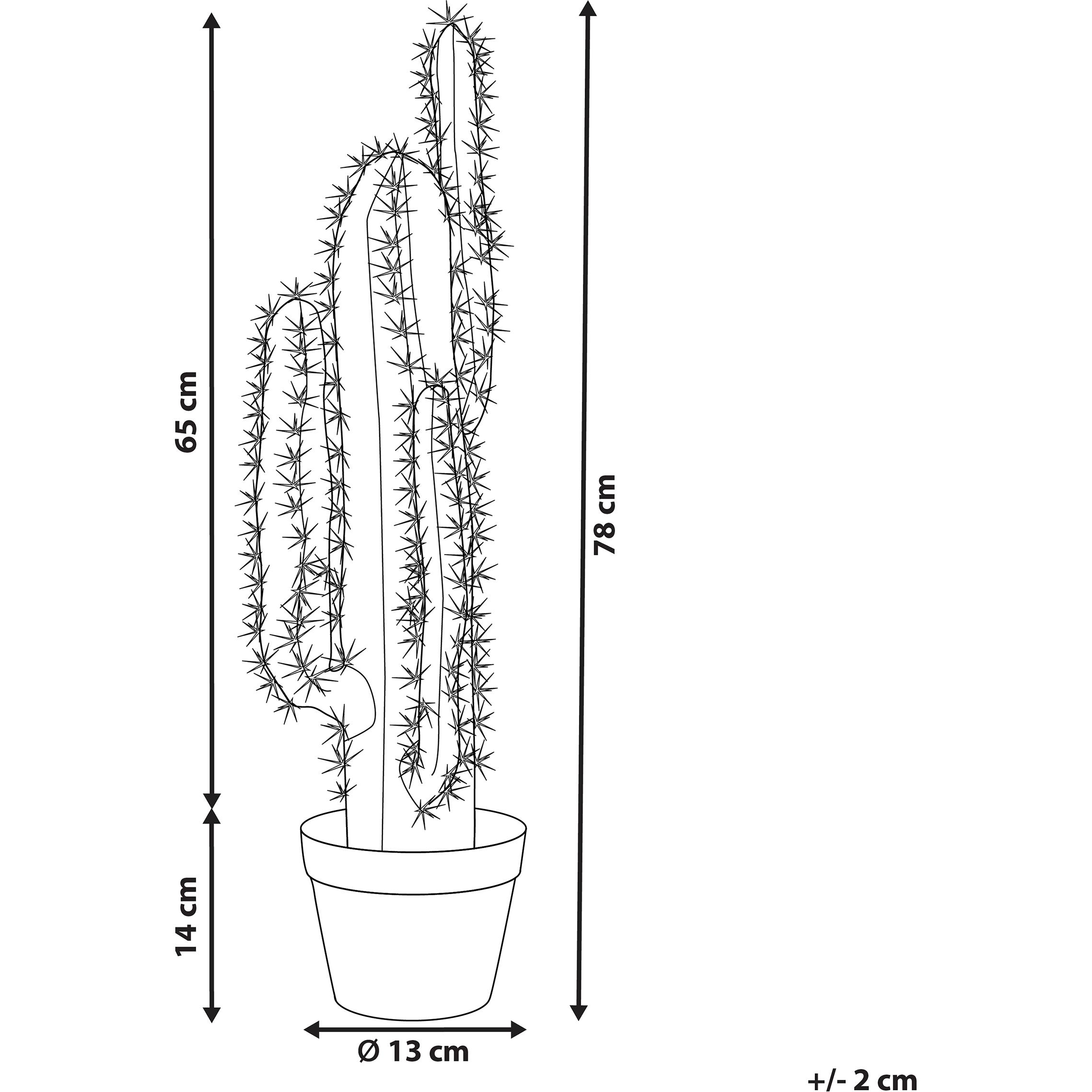 Thumbnail - Beliani, Kunstpflanzen, Cactus (78 cm)