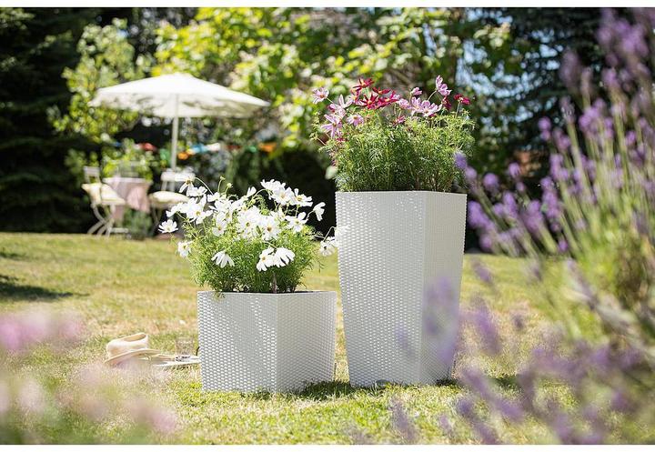 Immagine prodotto Lechuza Cubico Cottage (39.50 cm)