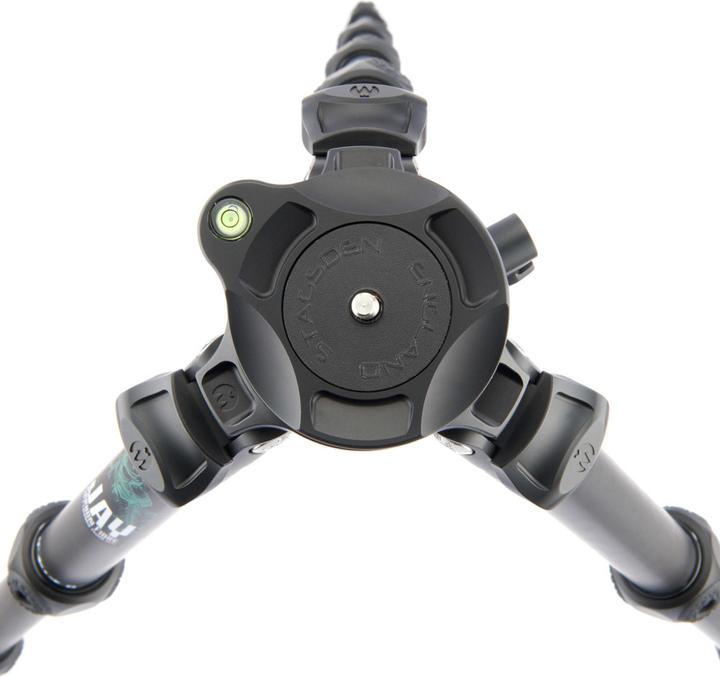 Actual product image 3 Legged Thing Legends Jay Black Darkness