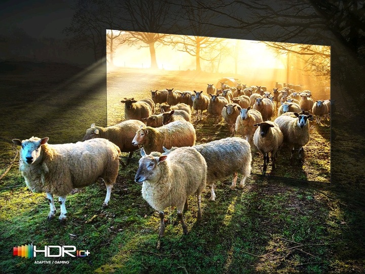 Produktbild Samsung QE65QN900BT (65", QN900B, NeoQLED, 8K, 2022)