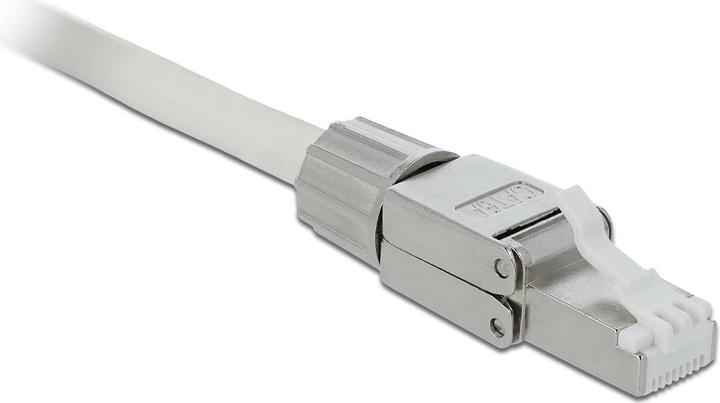 Image du produit Delock Fiche RJ45 Cat.6A (Câble réseau Connecteur)