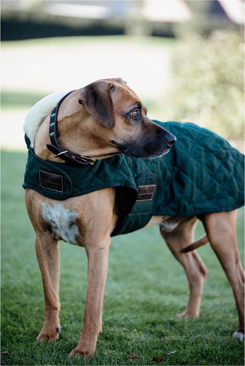 Actual product image Kentucky Dogwear Dog Coat Original (Dog coat)