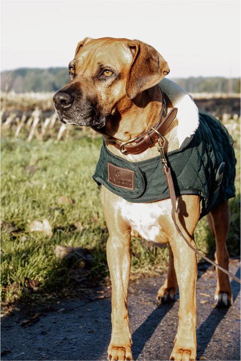 Actual product image Kentucky Dogwear Dog Coat Original (Dog coat)