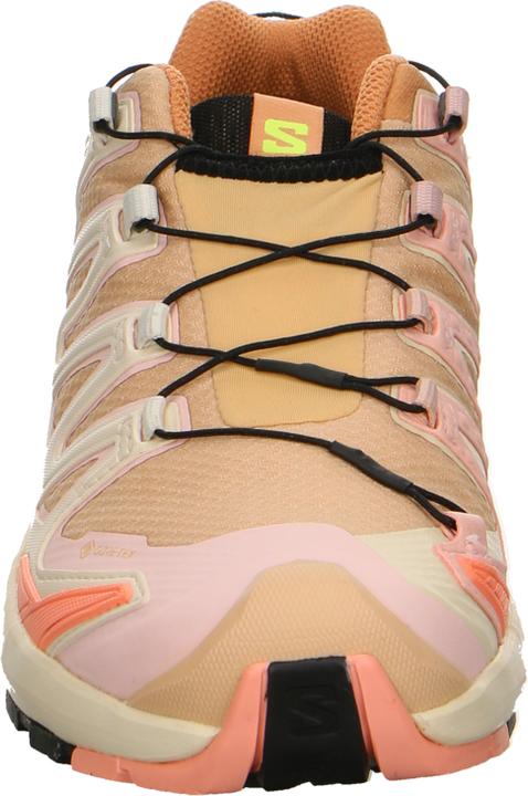 Produktbild Salomon XA Pro 3D V9 GTX w (40)