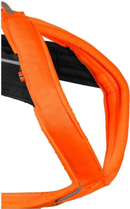 Actual product image Non-Stop Dogwear Freemotion Harness 5.0 (L, Dog, Dog sport)