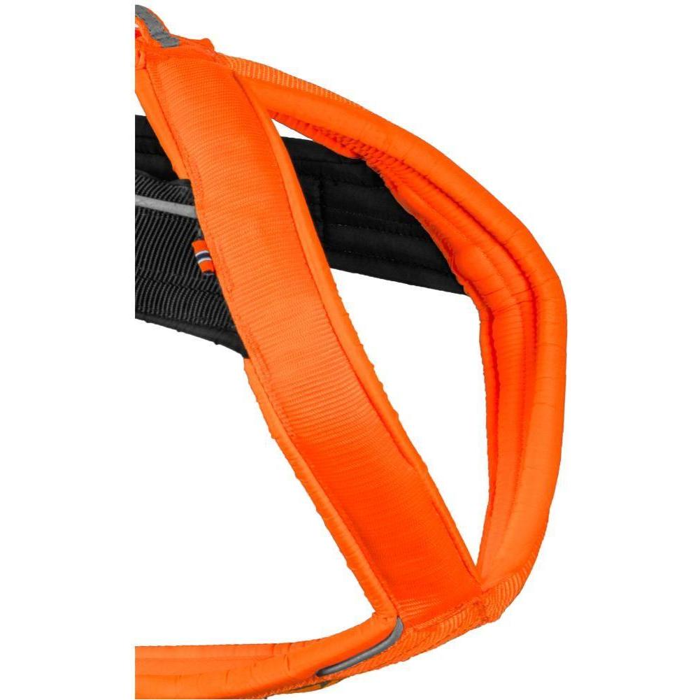 Non-Stop Dogwear Freemotion (M, Chien, Sport canin), Collier + laisse