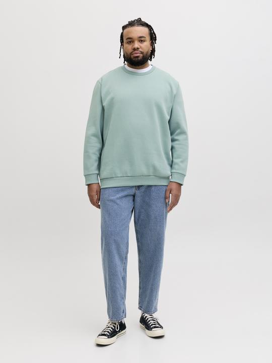 Produktbild Jack & Jones Jjebradley Sweat Crew Noos Pls