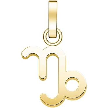 Rosefield, Kettenanhänger, PozlacenÃ½ pÅ™Ã­vÄ›sek Kozoroh The Pendant PE-Gold-Capricorn-S