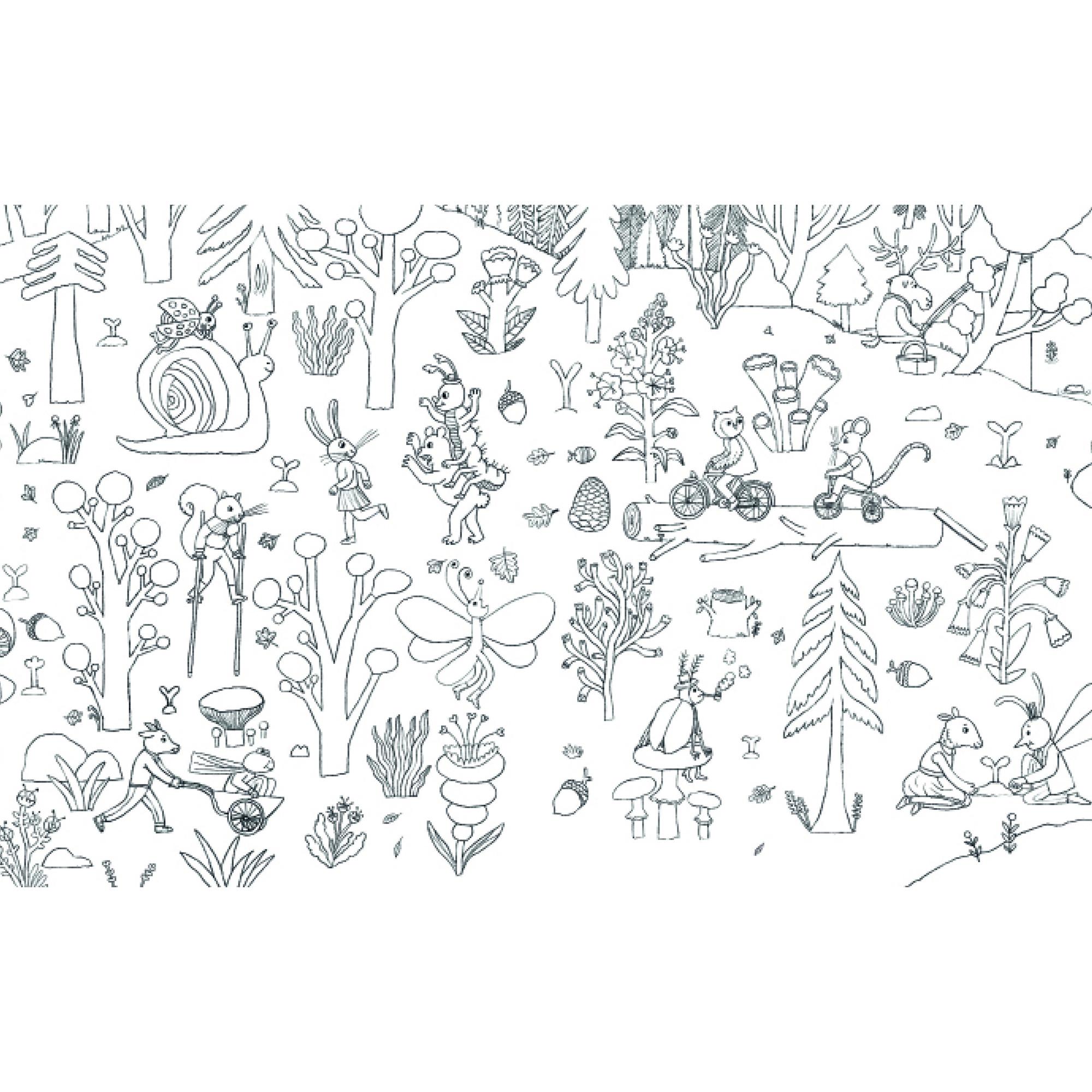 Thumbnail - Bohem Press Fantastischer Wald