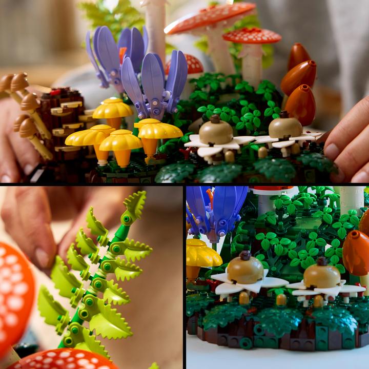 Produktbild LEGO 11505 Waldpilze (LEGO Botanicals)