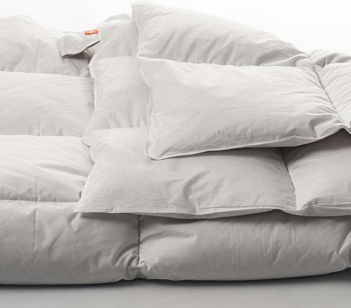 Produktbild Duvetsuisse Medium Duck Basic (1020 g, Daune, 240 x 210 cm)