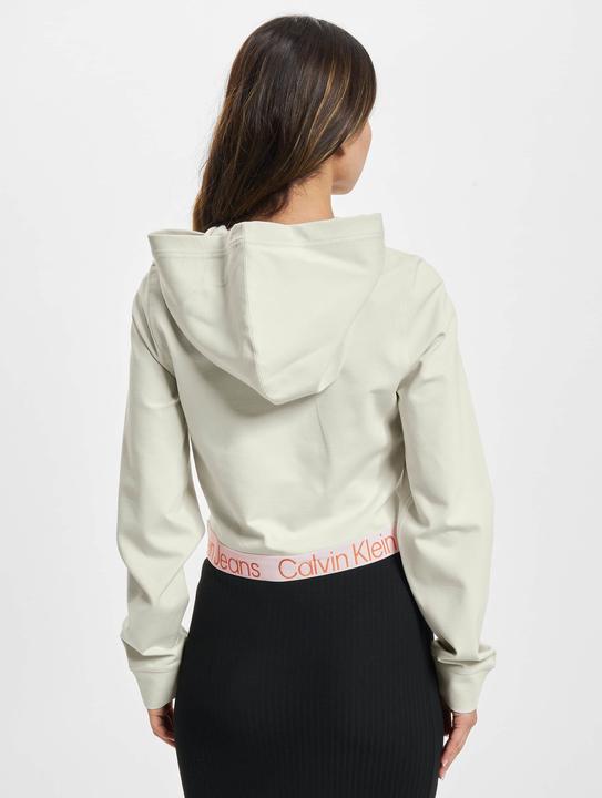 Image du produit Calvin Klein Jeans Logo Tape Milano Hoodie - 90477 (XS)