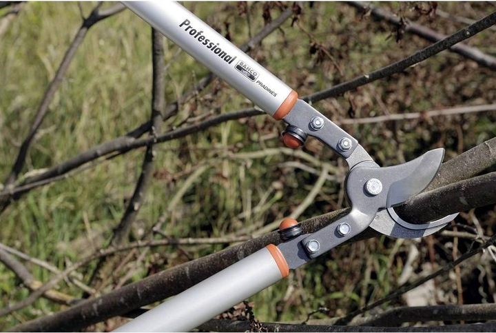 Immagine prodotto Bahco Troncarami per alberi da frutta, P160-SL-75