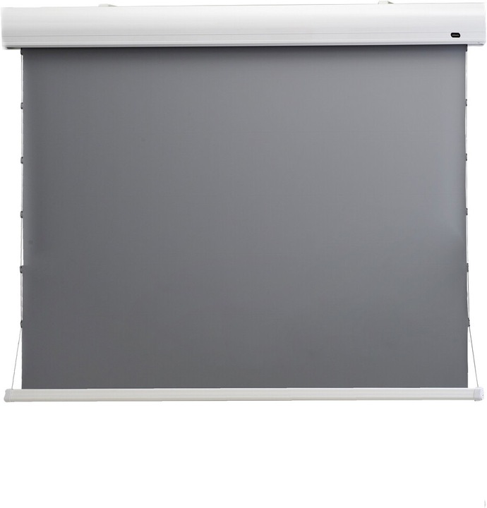 Celexon HomeCinema Motorleinwand Tension 199 x 112 cm, 90 - Dynamic Slate ALR (90", 16:9)