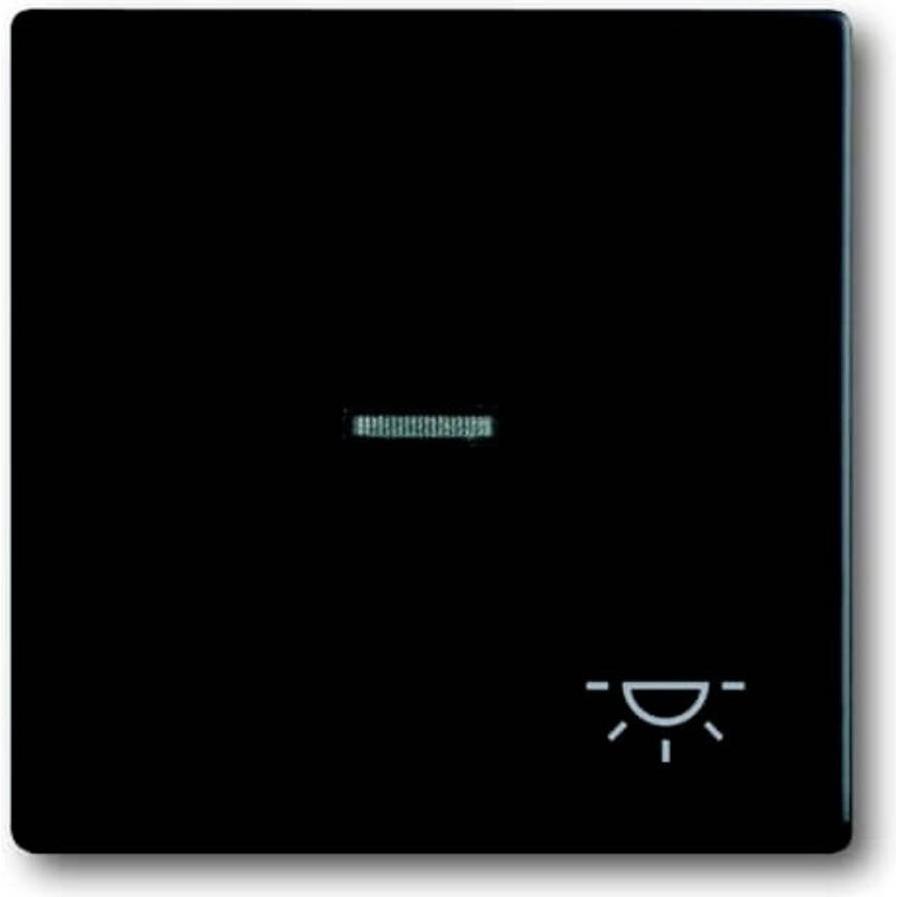 Busch-Jaeger, Programma di commutazione degli accessori, Rocker