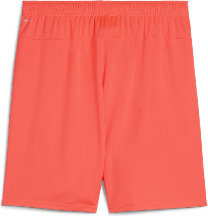 Actual product image Puma teamGOAL shorts (XXL)