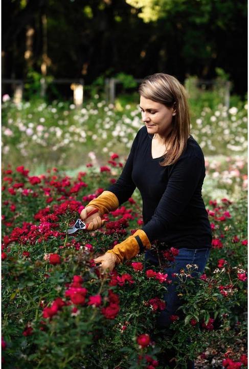 Produktbild Felco 705M Rosenhandschuhe, Grösse M (M)