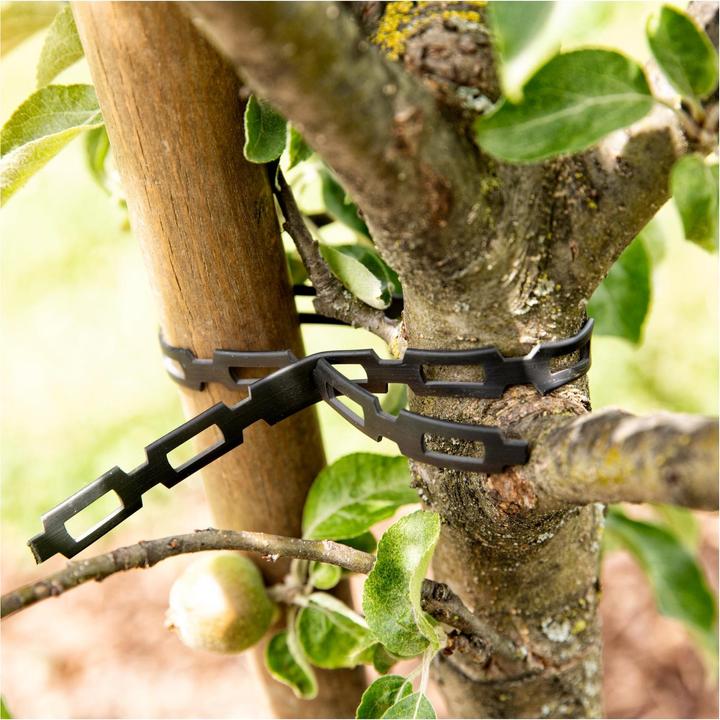 Immagine prodotto Windhager Raccoglitore professionale senza fine (500 cm, 1.20 cm)