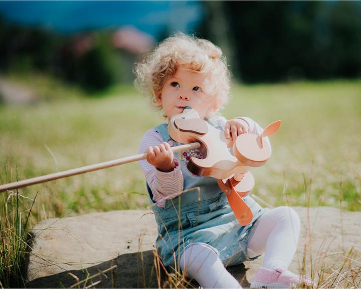 Image du produit Holzecke Chien à pousser en bois
