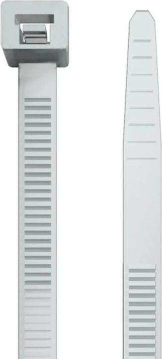 Immagine prodotto Weidmüller Fascetta L540mm naturale 7,8x1,75mm hfr 7940006072 (540 mm, 100 pz.)