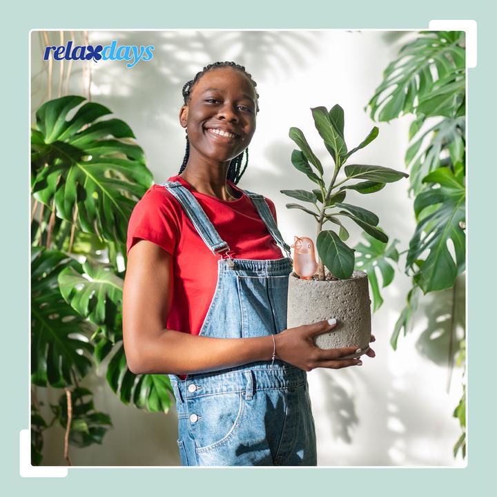 Actual product image Relaxdays Clay cone set (Clay cone)