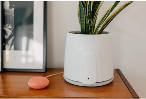 Actual product image Vitesy Natede Smart (36 m²)