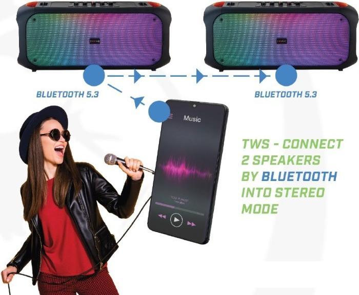 Actual product image Rebeltec Speaker SoundBox 650 80W RMS (12 h)