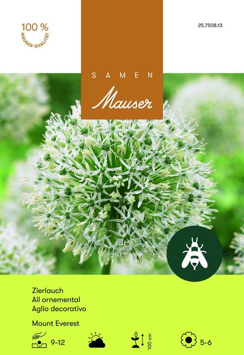 Produktbild Samen Mauser Allium Mount Everest (Blumenzwiebeln)