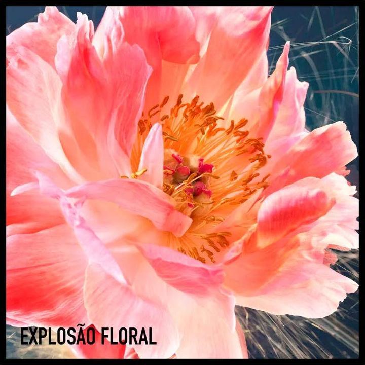 Image du produit Dior Joy Intense (Eau de parfum, 50 ml)