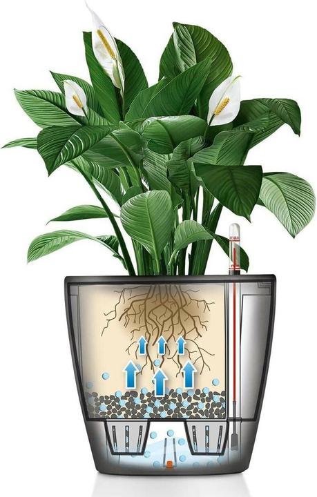 Produktbild Lechuza Classico (22 cm)