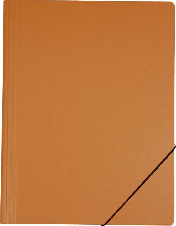 Produktbild Erola Pressspan-Momentordner ohne Einschlagklappen (A4, 1x)