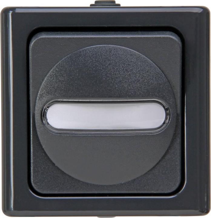 Produktbild Kopp APWG Blue Electric 5608.1500.3 Schliesser anthrazit