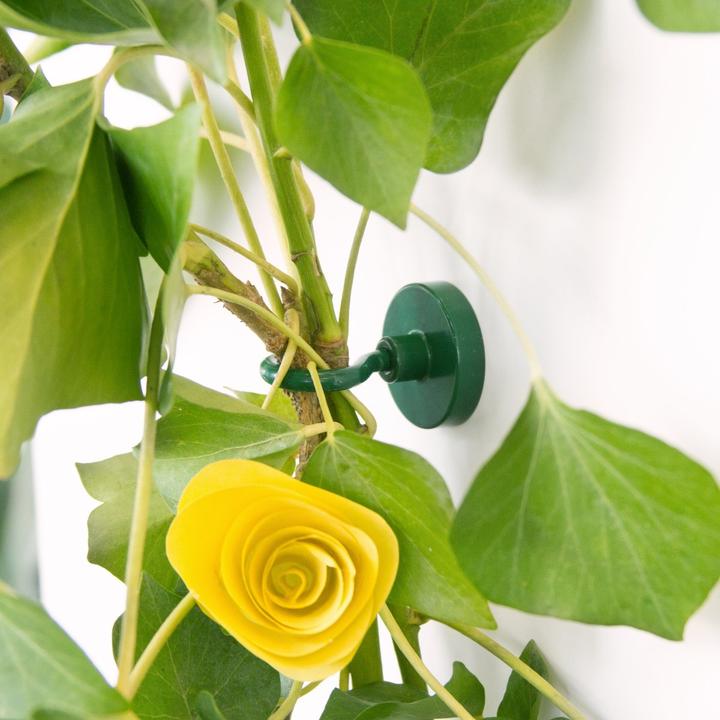 Produktbild Supermagnete Hakenmagnet (2x)