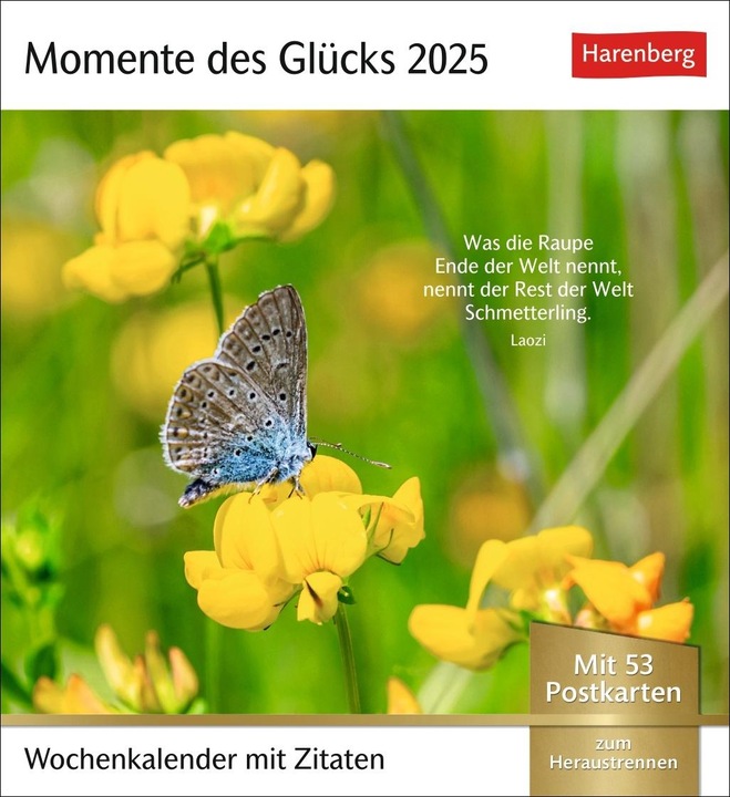 Immagine prodotto Harenberg Calendario con cartoline Momenti di felicità 2025 - Calendario settimanale con citazioni, con 53 (Tedesco)