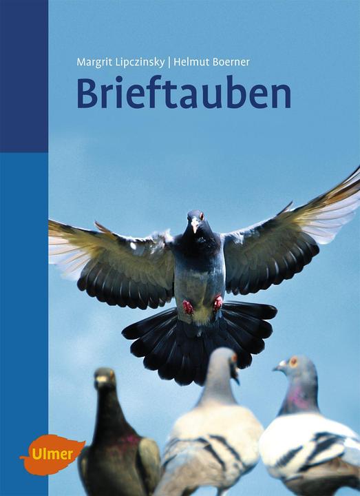 Brieftauben (German, Helmut Boerner, Margrit Lipczinsky, 2011)