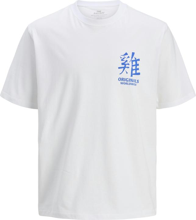 Actual product image Jack & Jones Jorsnake Tee Ss Crew Neck Tg Ln (XXL)
