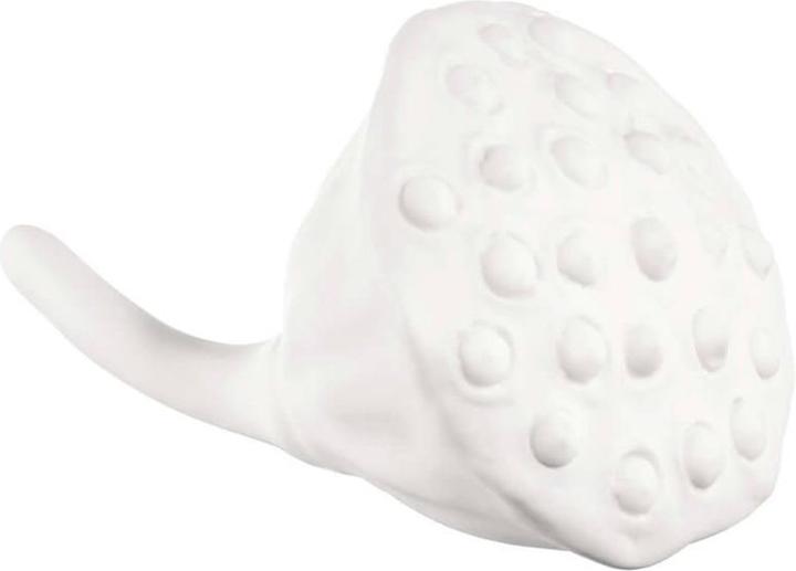 Produktbild ASA Selection Deko Lotusfrucht