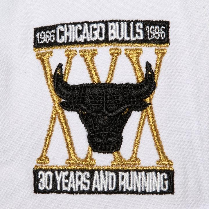 Produktbild Mitchell & Ness Gold Logo Chicago Bulls