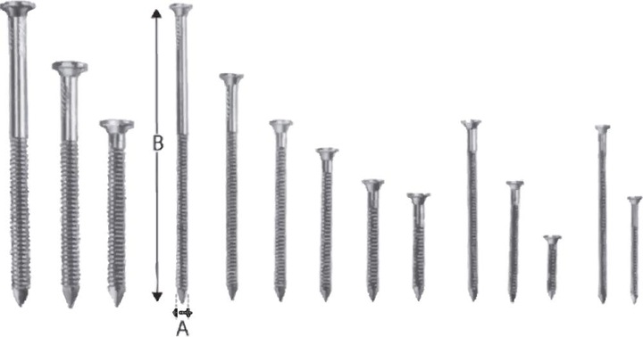 Image du produit Simpson Sst Pointes d'ancrage (250 pcs)