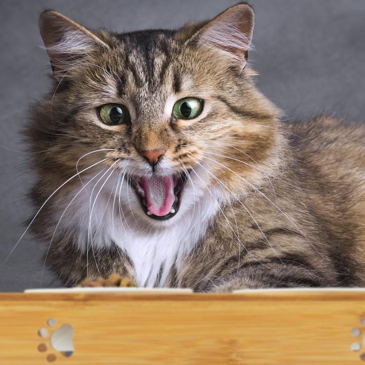 Actual product image Relaxdays Bowl stand (0.18 l)