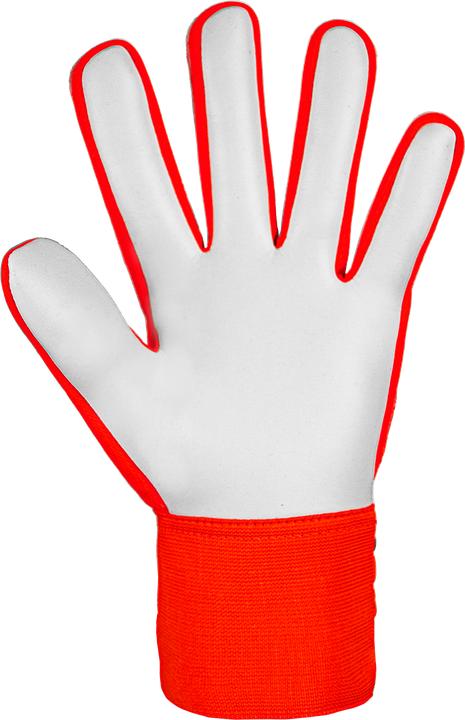 Produktbild Reusch Attrakt Starter Solid Torwarthandschuhe (10)
