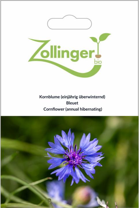 Zollinger Bio Fiordaliso (Bulbi da fiore)