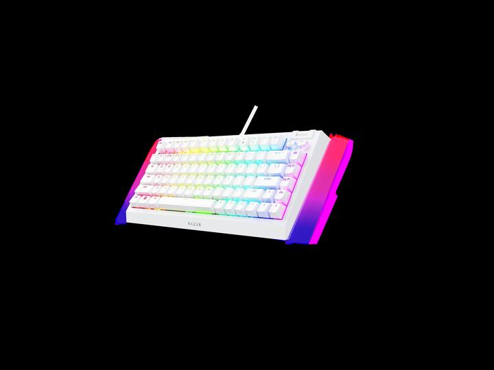 Image du produit Razer BlackWidow V4 75% (US, Filaire)