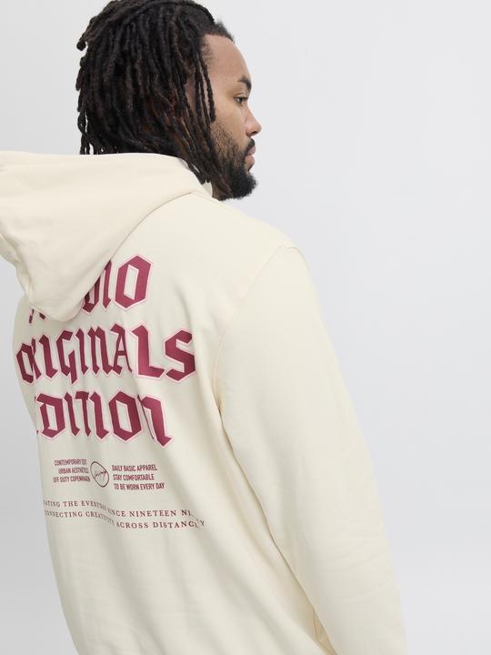 Immagine prodotto Jack & Jones Plus Size Kapuzenpullover Kapuzenpullover (4XL)