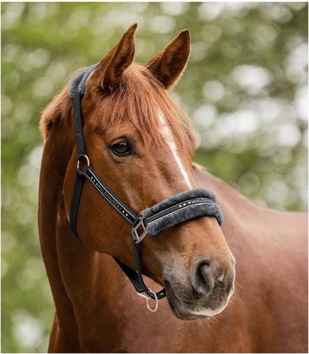 Produktbild Waldhausen Halfter Elegant