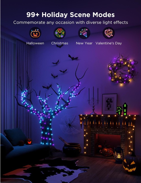 Image du produit Govee Guirlande lumineuse (20 m)